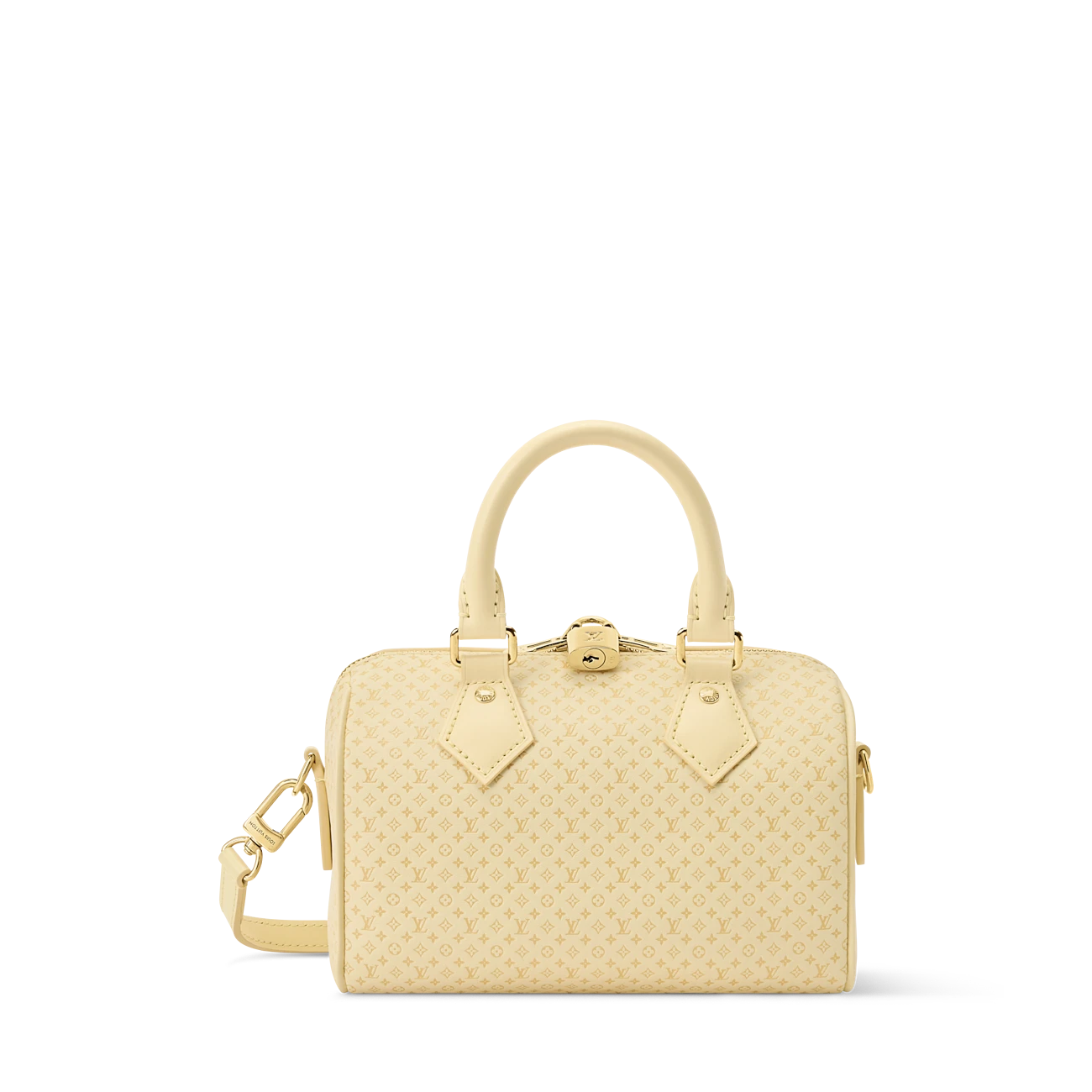 路易威登-speedy-bandoulière-20-手袋-other-leathers-时尚手袋--M29494_PM2_Front view SPEEDY BANDOULI È RE 20 Handbag